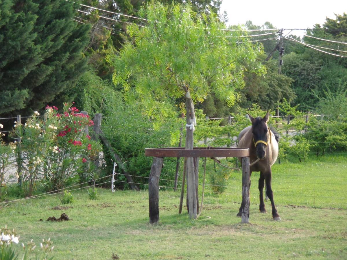 El Sendero - Gueiraldes B&B San Antonio de Areco Buitenkant foto