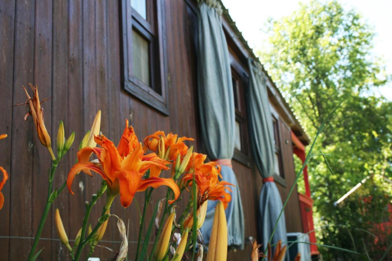 El Sendero - Gueiraldes B&B San Antonio de Areco Buitenkant foto